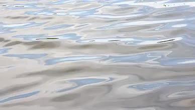 银色水波动态背景湖面视频的预览图